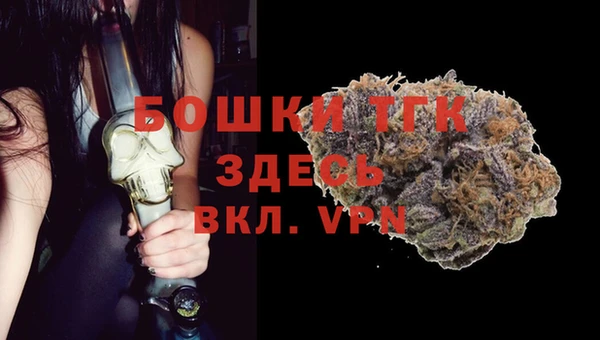 тгк Алексин