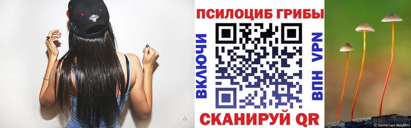 закладки  Конаково  Псилоцибиновые грибы MAGIC MUSHROOMS 