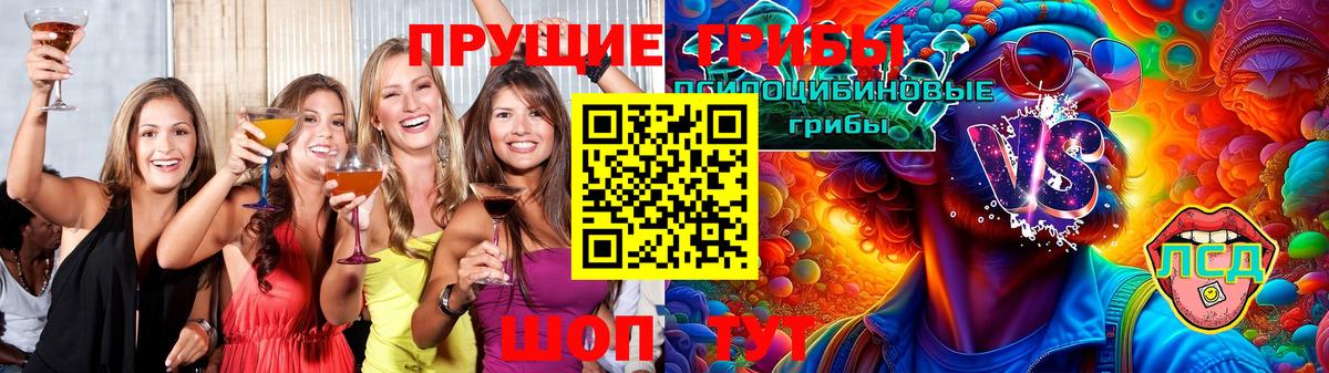Конаково  Галлюциногенные грибы Cubensis  Вход с VPN 